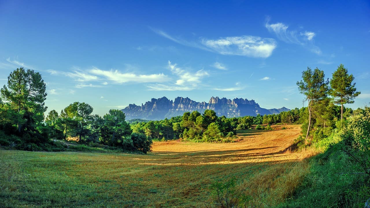 Mountains and green landscape with trees in Montserrat, Spain