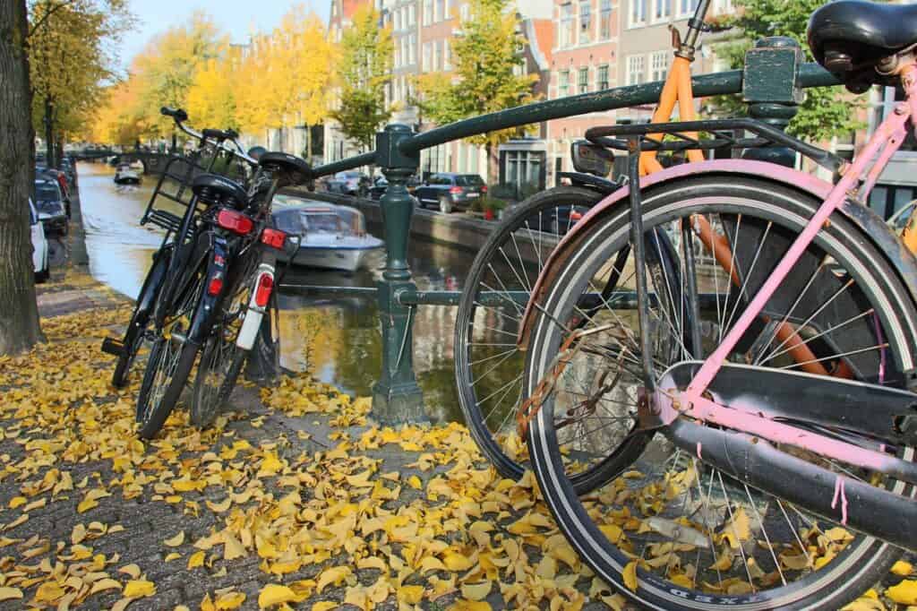 Bikes locked to a railing in Amsterdam with yellow leaves around the tires