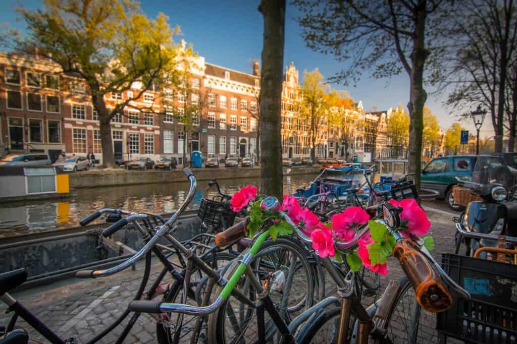 Bicycles on a small street in Amsterdam next to a canal with pink flowers on them