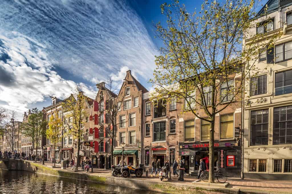 Cloudy day on a canal in Amsterdam with a lineup of buildings and nearly dead trees in the fall