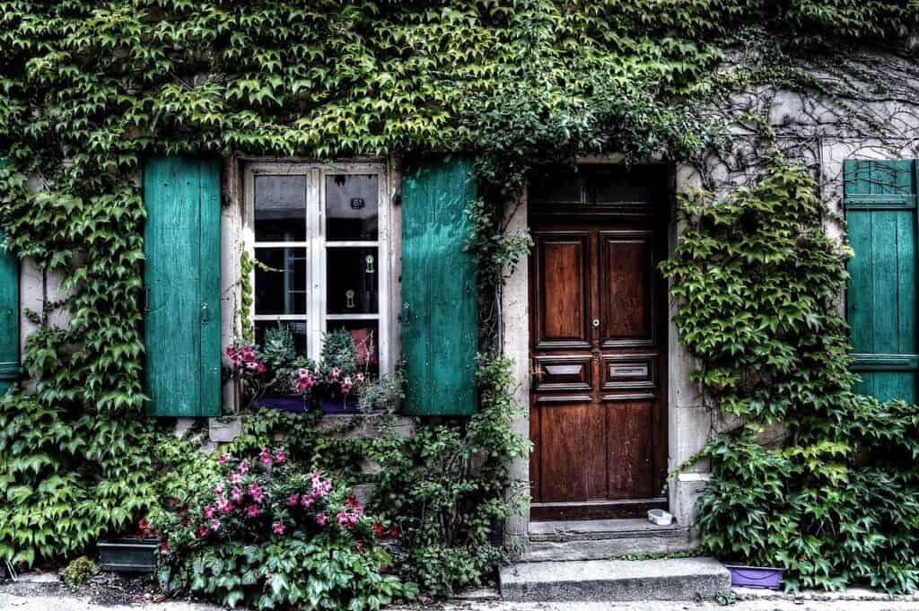 Ivy-covered home with green shutters and dark wooden door