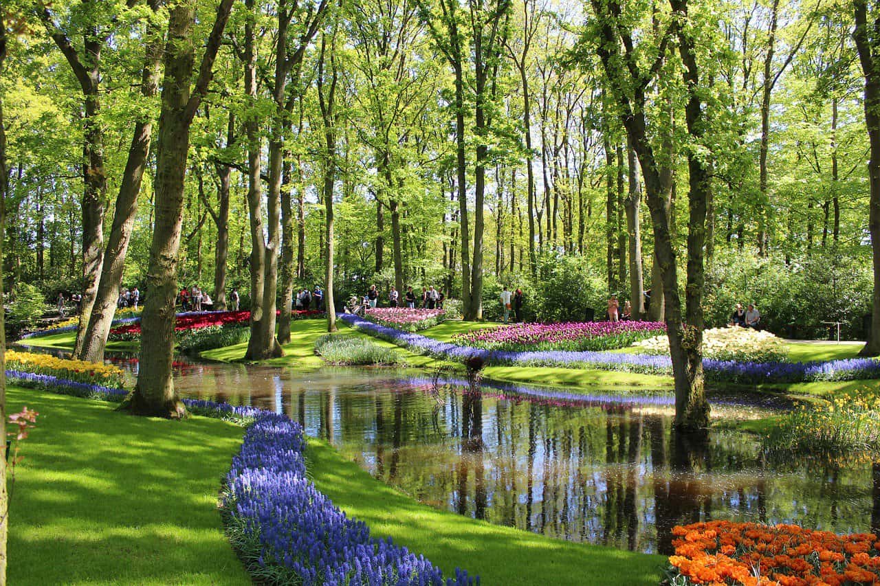 15 Convincing Reasons to Visit Amsterdam in Spring