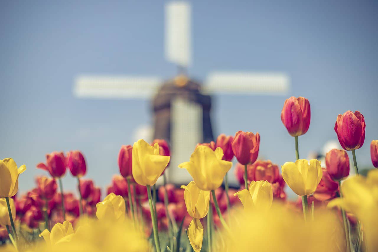 15 Convincing Reasons to Visit Amsterdam in Spring