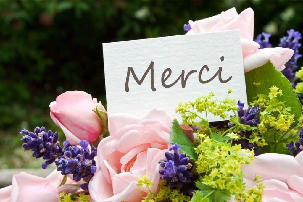 Merci beaucoup  Meaning in English & Audio Pronunciation