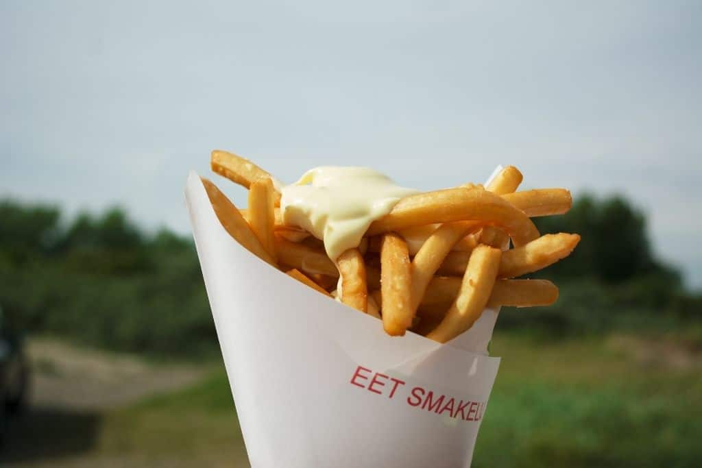 Fries and gin mayonnaise are a classic combination and make for one of the most unique Amsterdam souvenirs