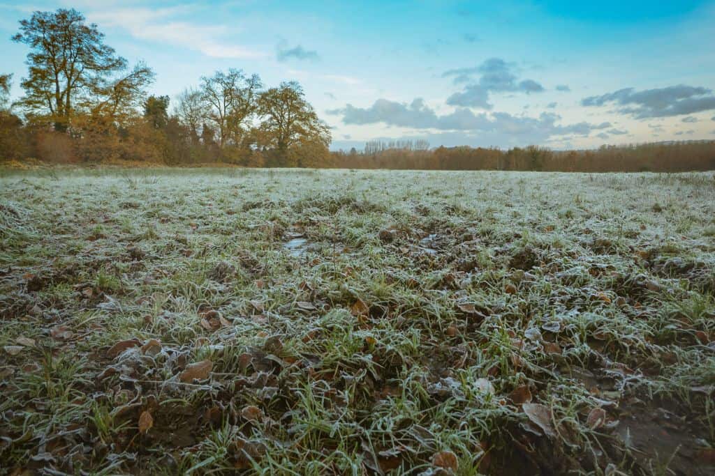 Not all of Ireland gets snow, in fact, most of the cities do not get snow at all