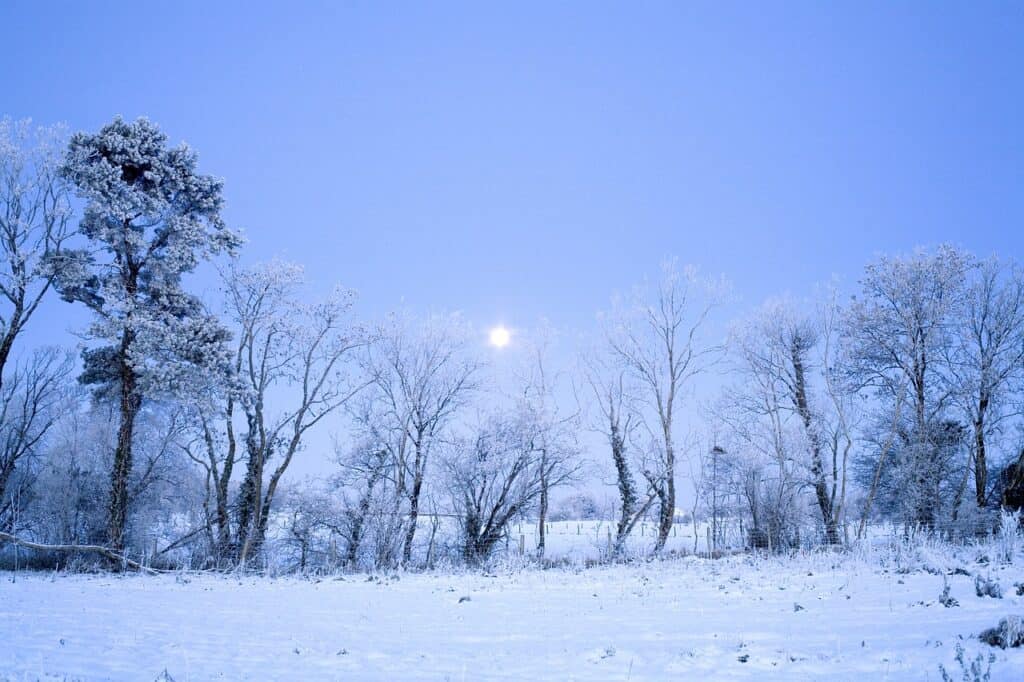 Ireland's biggest snowfall occurred in the 1960s
