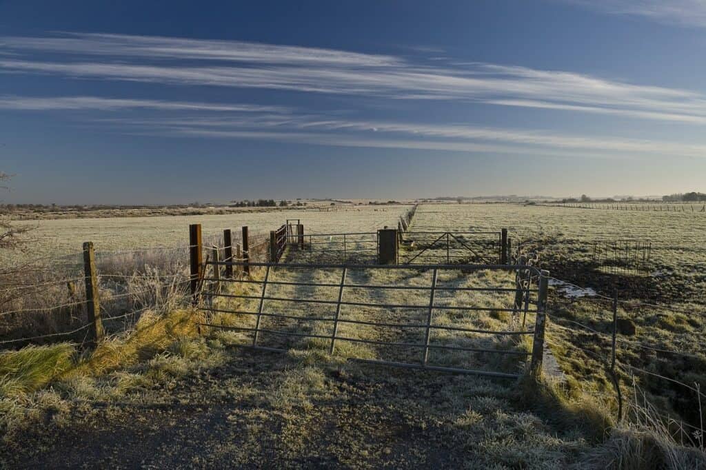 It can snow in Ireland between the months of December through March