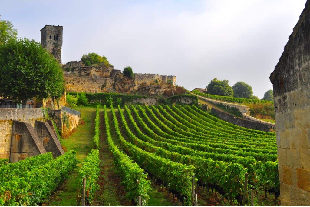 A few Bordeaux wine tours allow you to visit the vineyards
