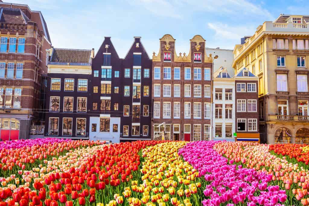 Denmark is not in the Netherlands which is obvious by the different landscapes