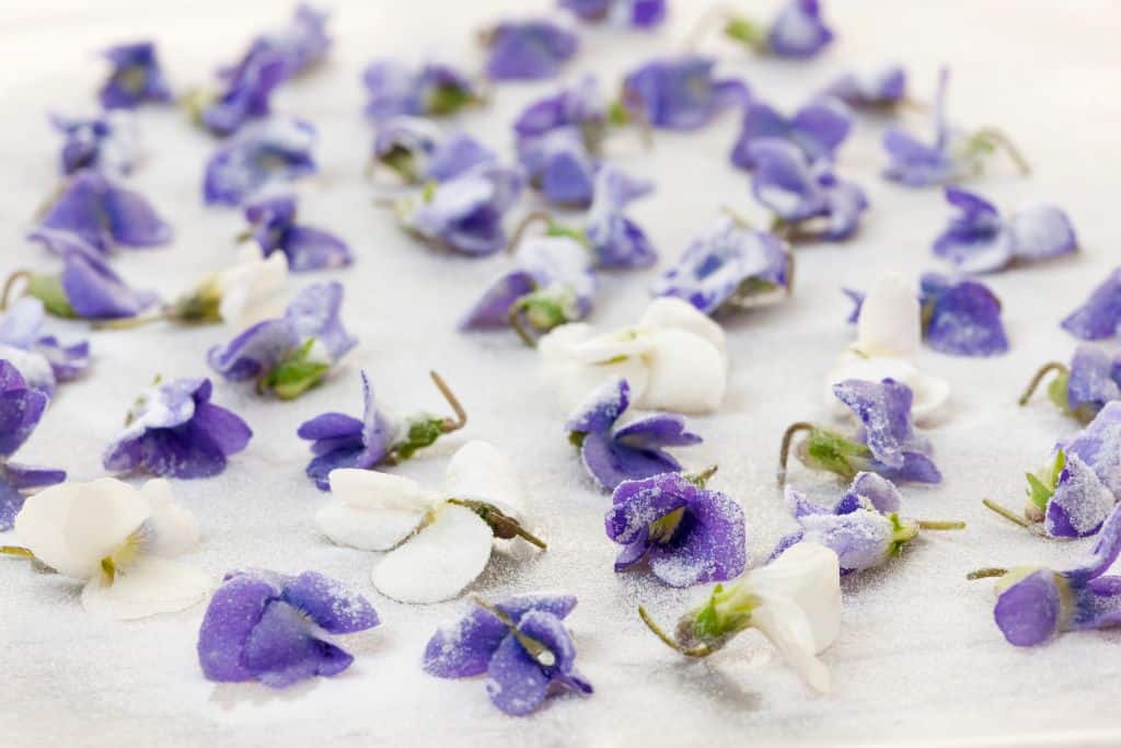 While you're searching for souvenirs in Vienna, try out some violet sweets