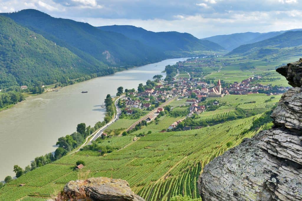 Local Viennese wine from the Wachau Valley is a wonderful Vienna souvenir to bring home
