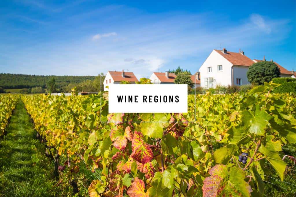 Vineyard with white houses with the words "wine regions" in a white box
