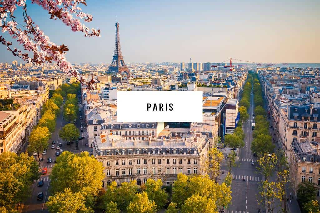Aerial view of Paris with cherry blossoms and the Eiffel Tower in view