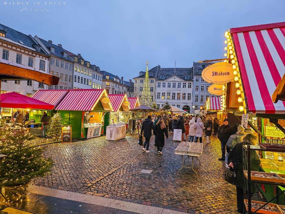 Hans Christian Andersen Market in Copenhagen