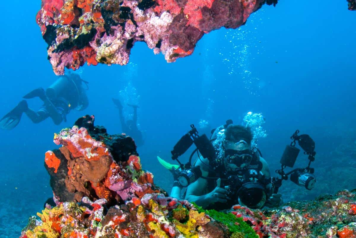 Scuba divers on a colorful reef