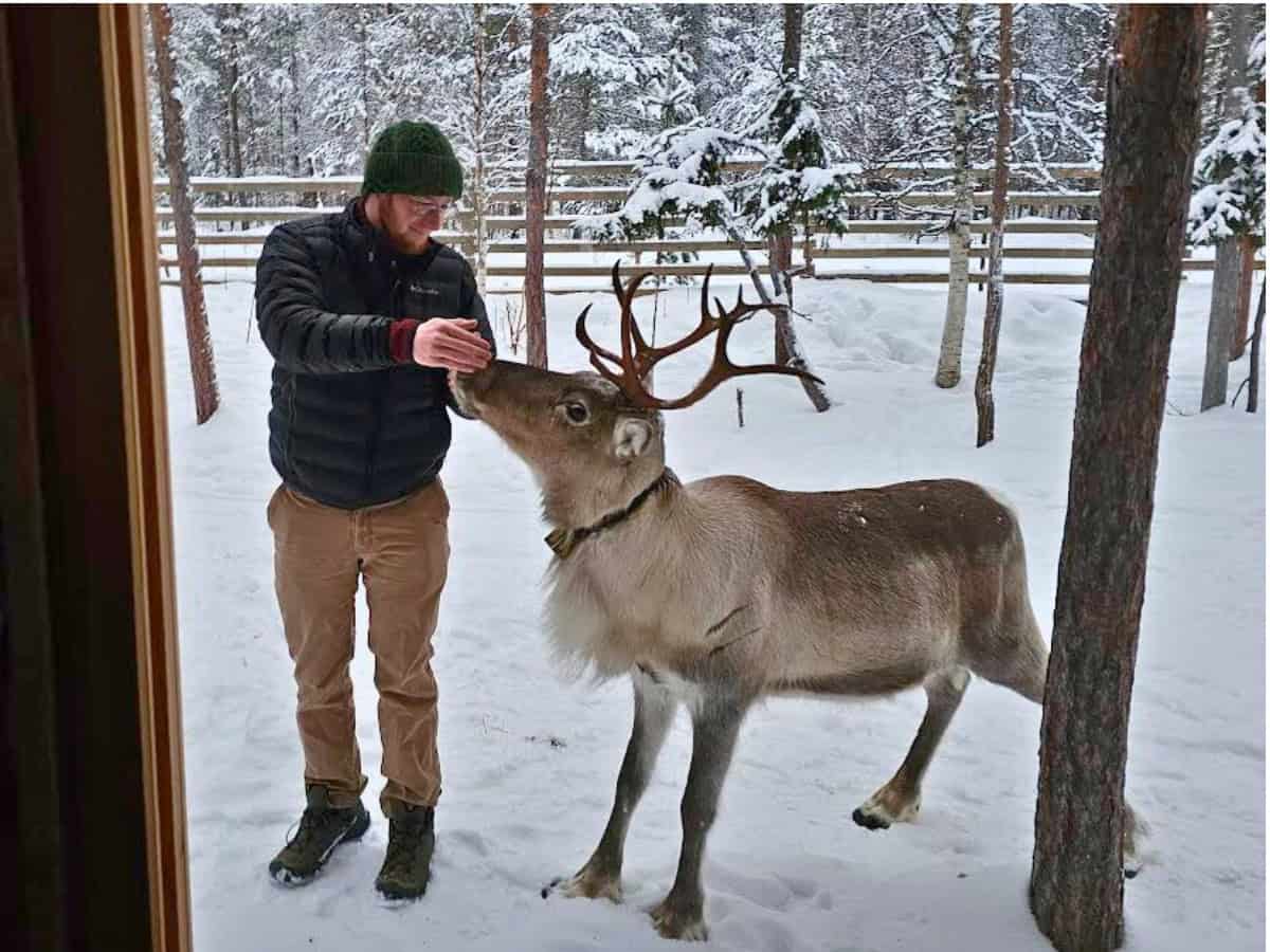 Sean giving attention to a reindeer in a snowy landscape in Finland